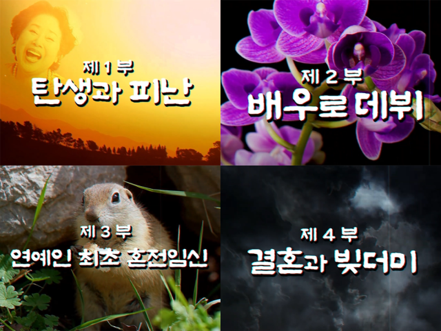 선우용여가 자신의 유튜브에서 인생사를 공개했다./'순풍 선우용여' 유튜브 캡처