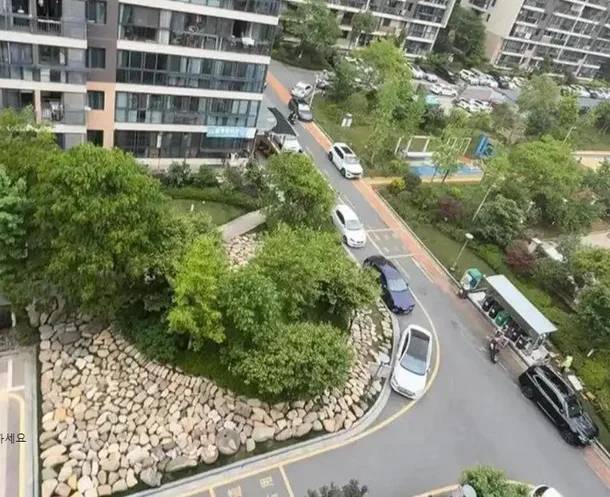 중국 저장성 리수이시 롄두구의 한 아파트 외부 잔디밭에 주민이 집  안에 수집해 온 돌들이 깔려 있다. [지무뉴스 갈무리]