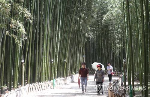 태화강 국가 정원 십리대숲 [연합뉴스 제공]