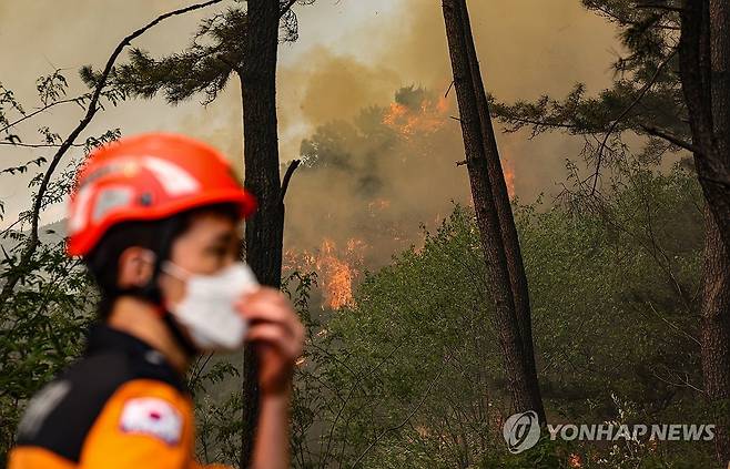 강풍에 번지는 산불 (대구=연합뉴스) 윤관식 기자 = 28일 오후 2시 1분께 대구 북구 노곡동 함지산에서 산불이 발생한 가운데 인근 민가로 번지고 있다. 2025.4.28 psik@yna.co.kr