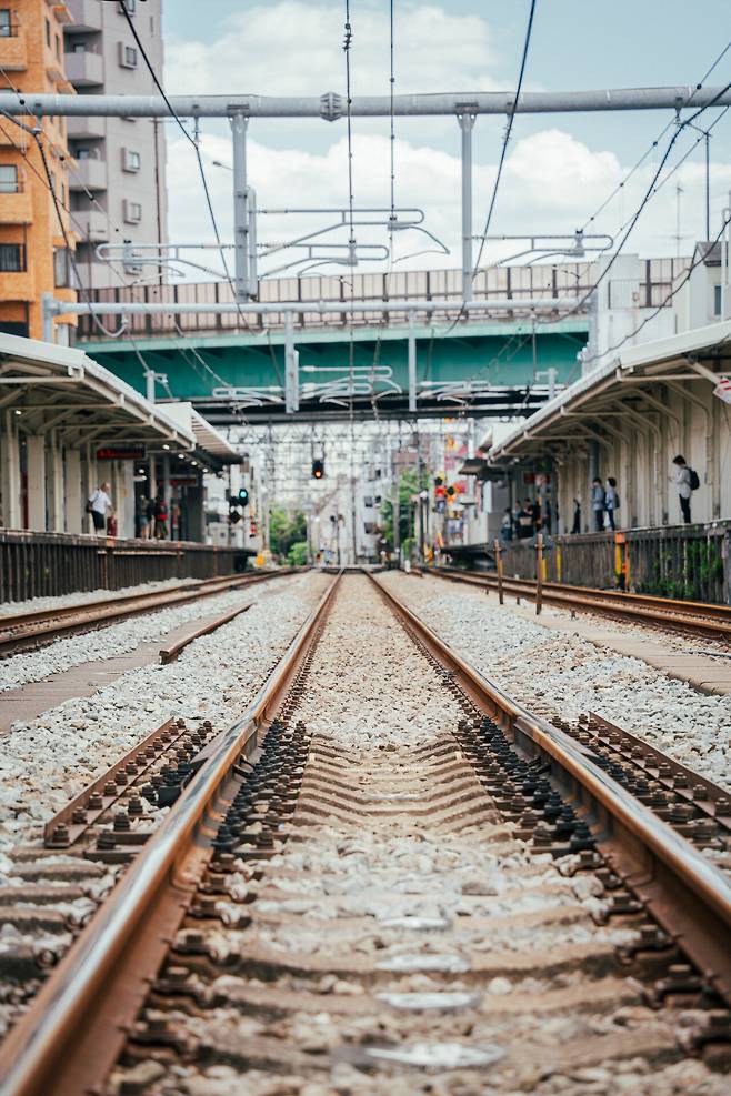 카메라 렌즈 구매기념 동네 산책