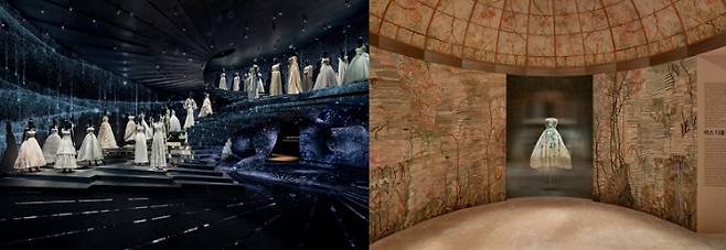 디올 ©Kyungsub Shin 제공