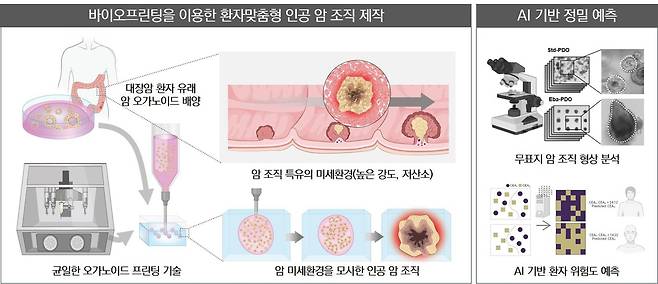 연구 그림 환자 맞춤형 인공 암 조직 바이오프린팅과 환자 예후 예측 AI. [울산과학기술원 제공. 재판매 및 DB 금지]