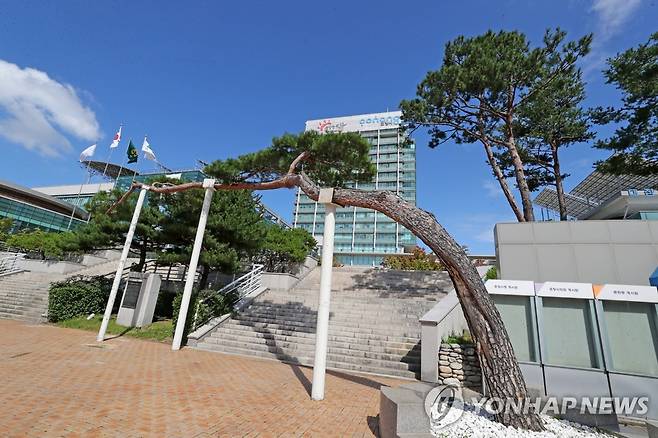 포항시청 [촬영 손대성]