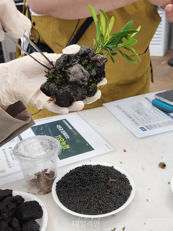 비바리움 만들기 활동 체험 모습. ⓒ데일리안 김소희 기자