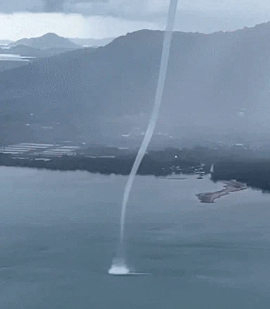 ⓒ미러 미디어 갈무리