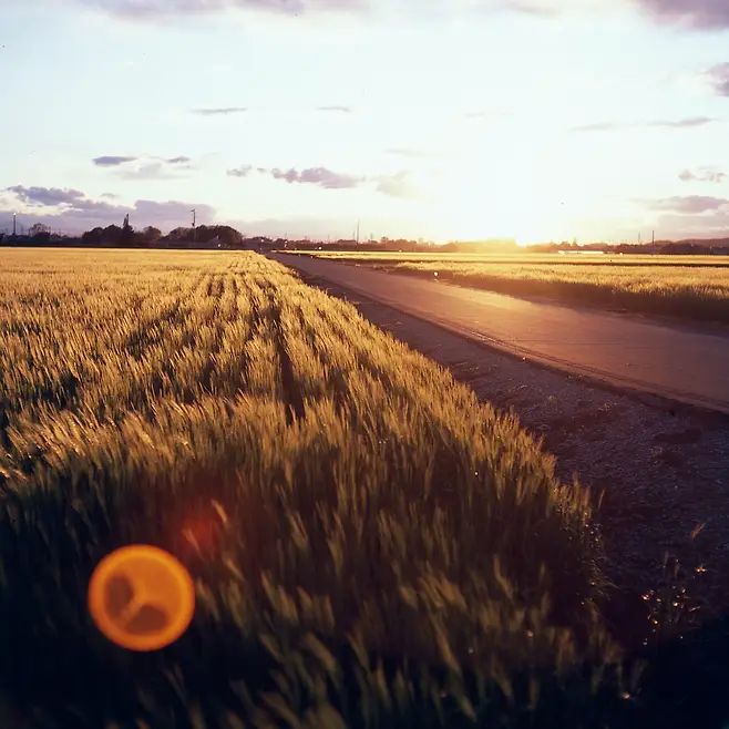 7cea8473bc8569f137ed83e5409f33384259cc1b5689889fac421a2915b2b1