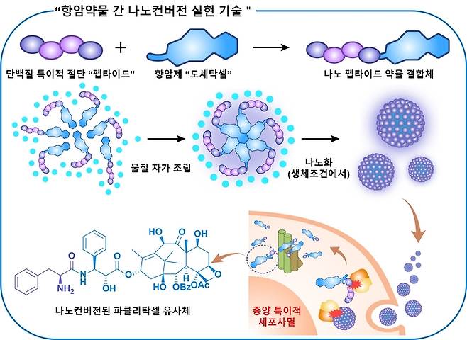 항암약물 간 나노변환 설명 연구 모식도