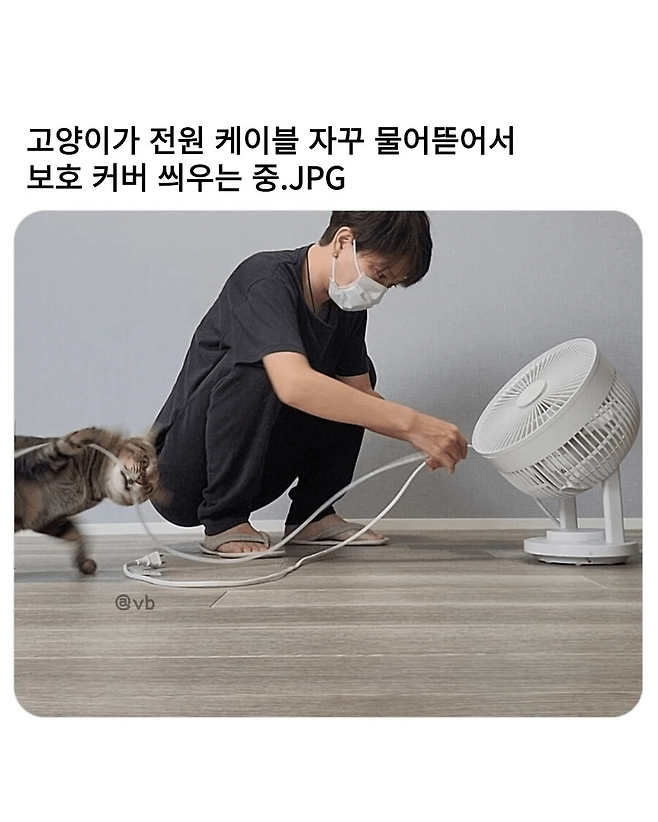 image.png 고양이가 전원 케이블 물어뜯어서 보호 커버 씌우는 중