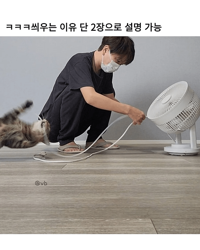 image.png 고양이가 전원 케이블 물어뜯어서 보호 커버 씌우는 중