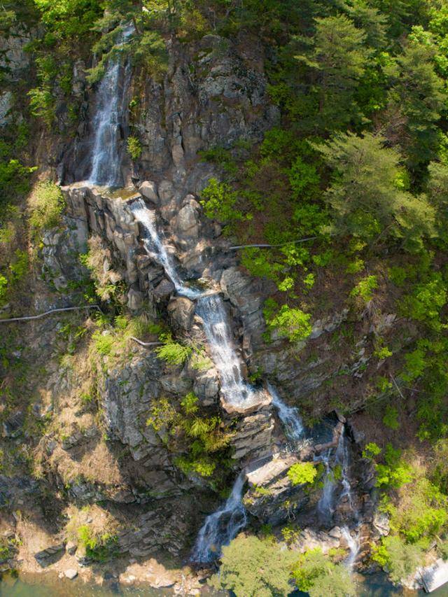 영주댐 인근의 인공폭포 용혈폭포에서 세찬 물줄기가 떨어지고 있다.