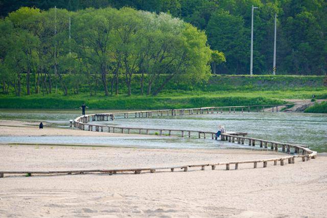 무섬마을의 상징인 'S'자 외나무다리에서 여행객들이 기념사진을 찍고 있다.
