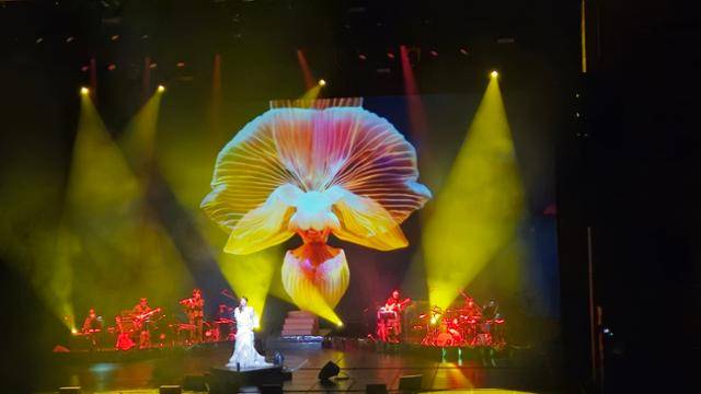 사진설명: 2024년 선정작 양파 : 2025 양파 단독 콘서트 ‘너의 지금’_ AI를 활용하여 제작된 영상 무대 구현