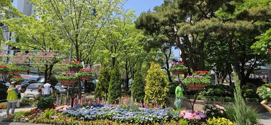 대전시 유성구 봉명동 온천로에 다양한 꽃이 피어있다. 김방현 기자