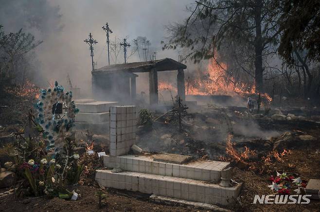 [노갈레스=AP/뉴시스]  멕시코 베라크루스주 노갈레스의 공동묘지 일부가 지난 해 3월 25일 산불에 타고 있는 광경.  베라크루스주의 212개 도시 시장선거를 앞두고 여당 후보 한명이 무장괴한 습격으로 숨지는 사건이 4월 29일 발생했다. 2025. 04. 30.