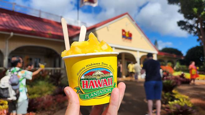 동부 & 북부섬 일주 투어 코스 중 돌 파인애플 농장. 사진제공|팜투어