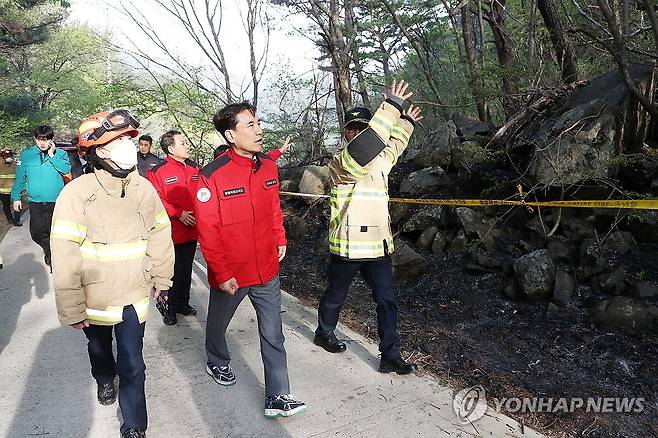 인제산불 최초 발화지점 살피는 김진태 강원도지사 [연합뉴스 자료사진]