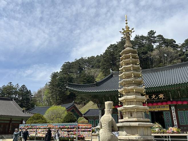 보수 마친 평창 월정사 팔각 구층석탑     (평창=연합뉴스) 김예나 기자 = 강원 평창 월정사의 국보 '평창 월정사 팔각 구층석탑' 모습. 지난해 상륜부 해체·보수를 마치고 관람객에 공개되고 있다. 2025.4.30
    yes@yna.co.kr