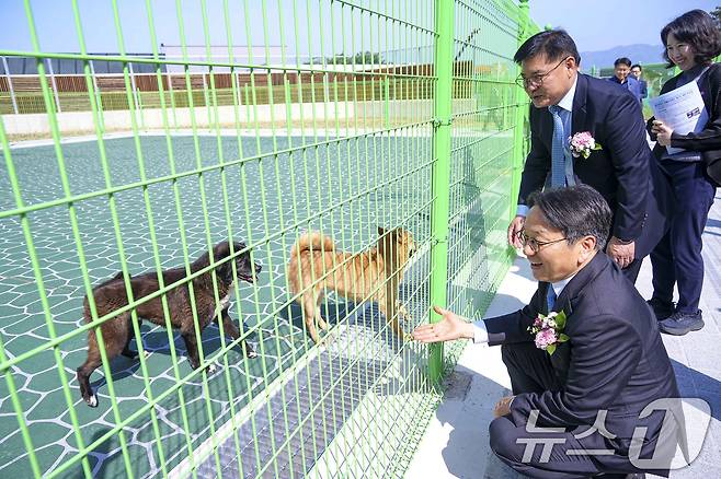 강기정 광주시장이 지난달 24일 오전 북구 본촌동에 들어선 '광주시 동물보호센터 개소식'에 참석해 센터에서 돌보고 있는 유기견을 살펴보고 있다.(광주시 제공. 재판매 및 DB 금지) 2025.4.24/뉴스1 ⓒ News1 박준배 기자