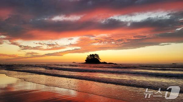 충남도는 2025∼2026 충남 방문의 해를 맞아 특정 시군을 홍보하는 ‘이달의 충남’ 콘텐츠를 운영 중인 태안을 5월의 관광지로 태안을 선정했다.  사진은 학암포해수욕장. (충남도 제공. 재판매 및 DB 금지) 2025.5.1/뉴스1
