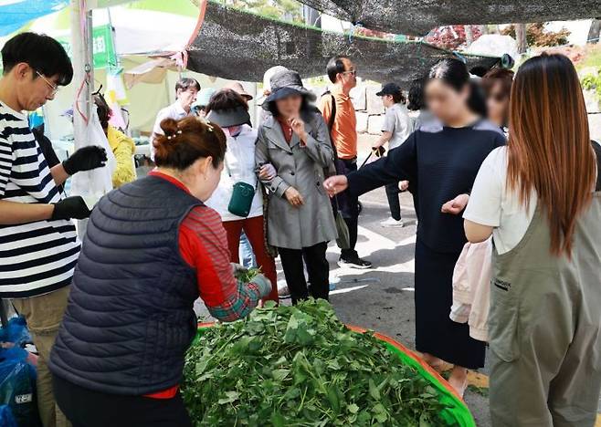 여러분의 방문이 영양군의 치유가 됩니다. 영양군 제공