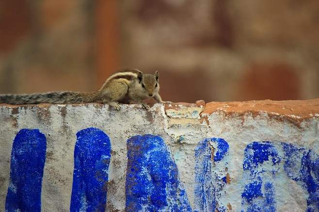 7eef9e2cf5d518986abce8954782706eef1ac0e7