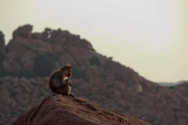 79ea9e2cf5d518986abce8954181766f0d80a8