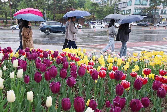 경기 수원시의 한 거리에서 시민들이 우산을 쓰고 지나가고 있다. 2025.4.22/뉴스1