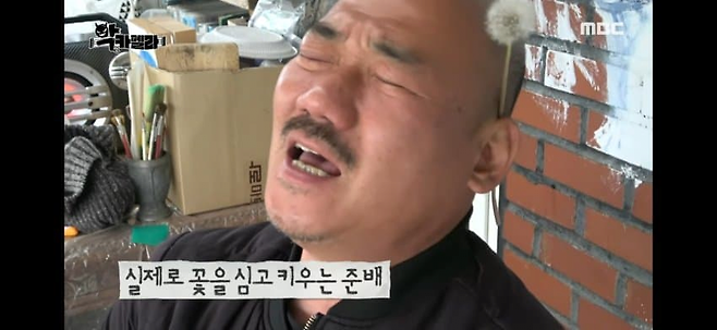 image.png 의외로 취미가 고상한 배우.jpg 의외로 취미가 고상한 배우.jpg