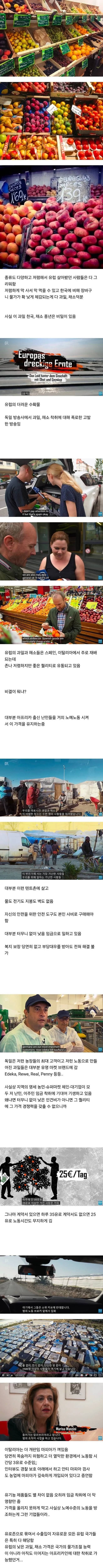 IMG_0117.webp.ren.jpg 환경파괴 아동착취 GMO 제국주의 과일채소…JPG