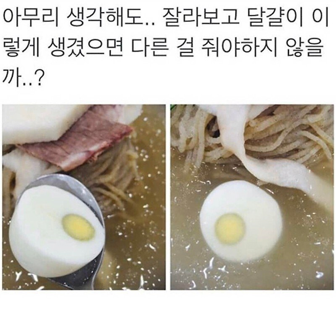 IMG_8710.png 냉면집 논란의 삶은달걀.jpg