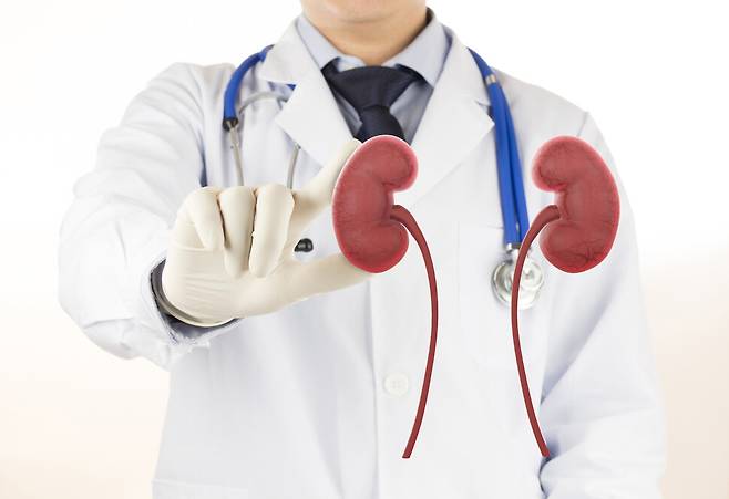 고혈당 상태가 장기간 지속되면 신장을 이루는 미세혈관에 손상을 입게 되고, 사구체여과율 등 신장 기능이 떨어진다. 당뇨병콩팥병은 초기에 겉으로 드러나는 증상이 없고, 일부 환자는 신장 기능이 빠르게 악화하므로 신중한 관리가 중요하다. 게티이미지뱅크