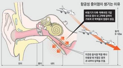 사진=헬스조선 DB