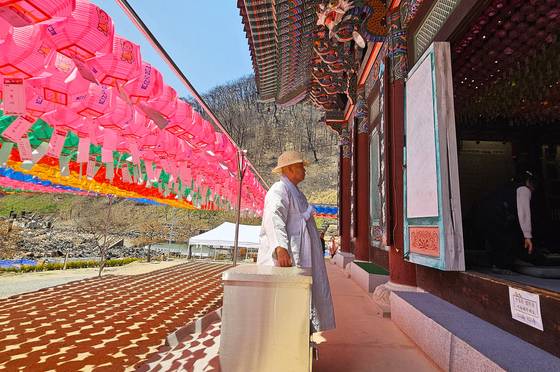 대웅보전 앞에 선 고운사 부주지 정우스님. 스님 뒤로 새까맣게 탄 산이 보인다.