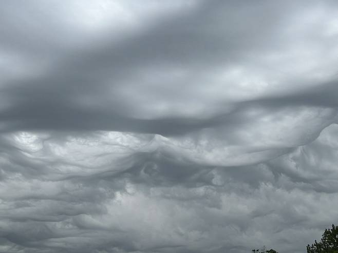 시청자 변인규 제공