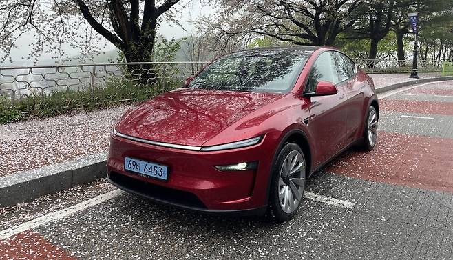 경기도 파주시 오두산 통일전망대에 주차한 테슬라 새 모델Y(주니퍼). 지난달 국내 공식 출시했다. /백수전 기자