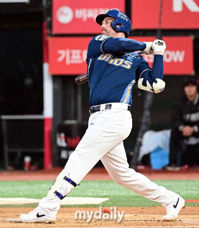 NC 데이비슨./마이데일리