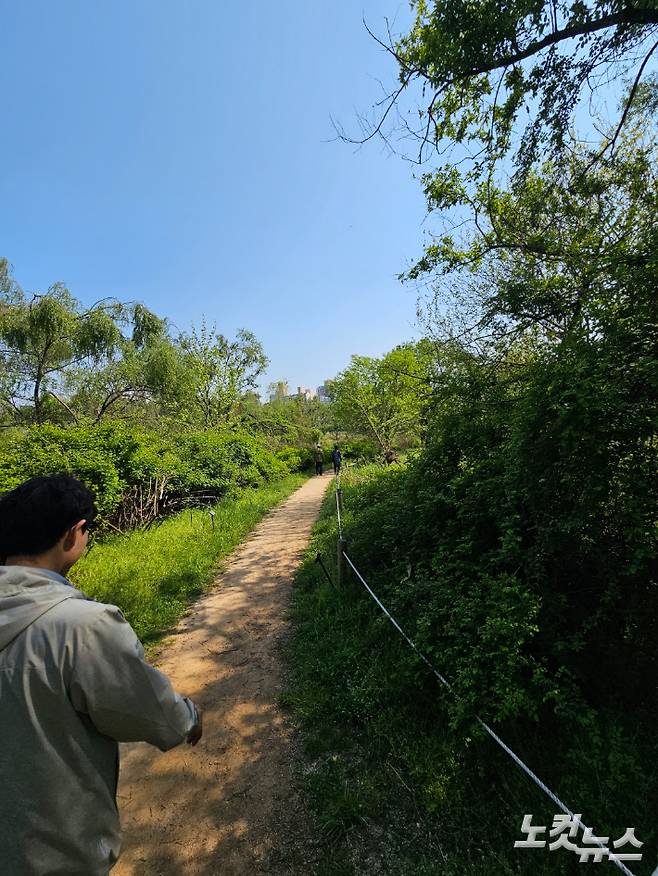 서울 강동구 암사 생태공원 속 생태관찰로. 권민철 기자