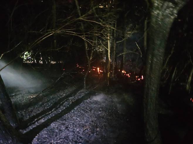 포항 문덕 야산 화재. 경북소방본부 제공