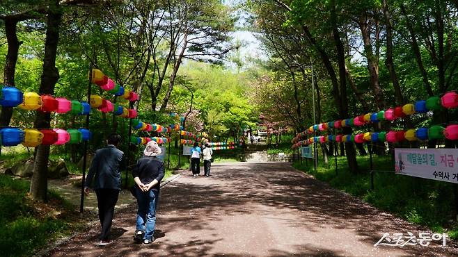 예산 수덕사로 가는 길. 수덕사는 산문부터 대웅전까지 가는 숲길이 여유롭다. 봄을 맞아 화사하게 핀 봄꽃을 즐기며 돌아보기 좋다. 관광객을 위한 안내와 편의시설도 잘 갖추고 있다             충남｜김재범 기자 oldfield@donga.com
