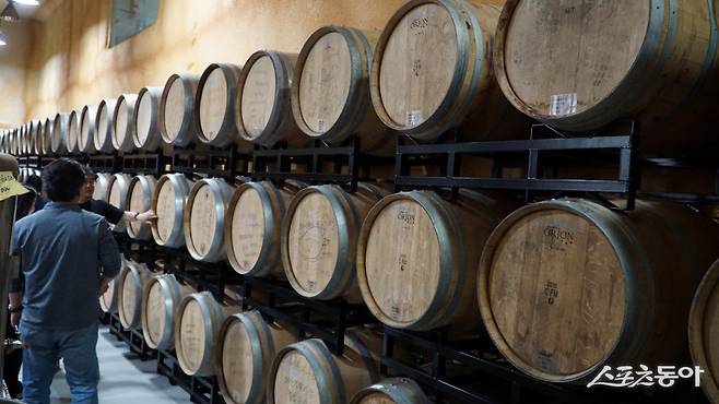 예산 은성농원의 사과술 시드르와 칼바도스 숙성고. 스페인산 올로로소 셰리오크통 등에 이곳에서 발효하고 증료한 사과술을 담아 숙성, 보관하고 있다     충남｜김재범 기자 oldfield@donga.com