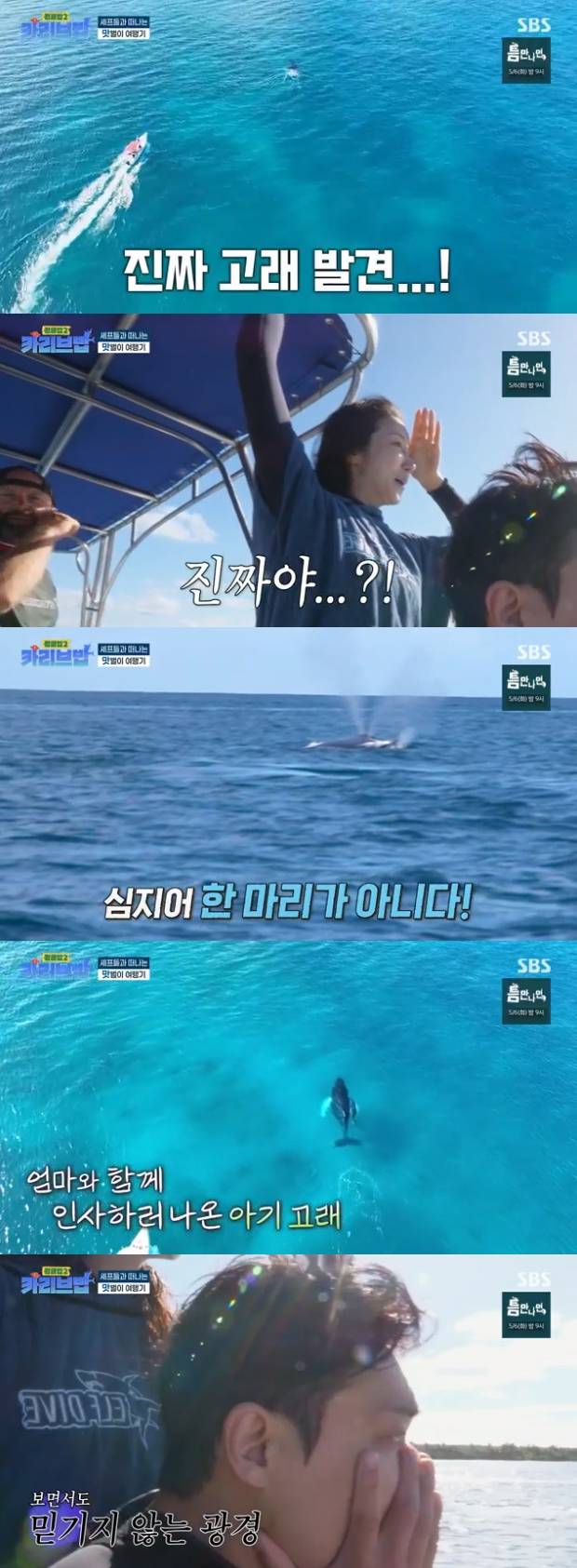 티브이데일리 포토