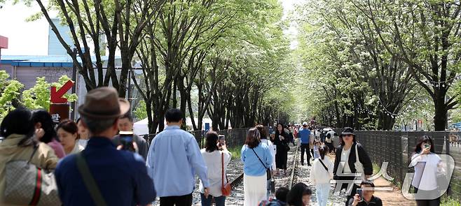 26일 전북자치도 전주시 팔복동 철길이 '2025 전주 이팝나무 축제'를 찾은 시민들과 관광객들로 북적이고 있다. 2025.4.26/뉴스1 ⓒ News1 유경석 기자