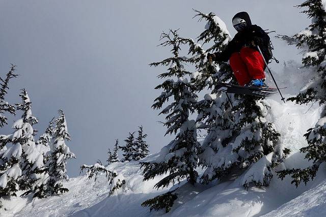 알래스카 산맥의 스키코스에서 스키어가 뛰어오르고 있다. 위키미디어 제공