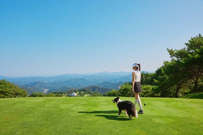소노인터내셔널 제공