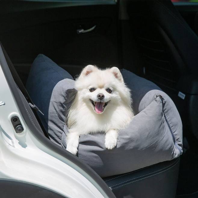 반려동물용 카시트 펫프렌즈 제공