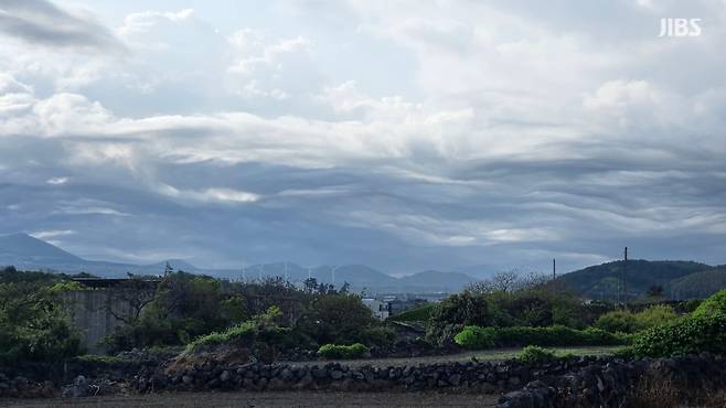 어제(1일) 아침 8시 30분쯤 제주시 한립읍에서 목격된 구름 (사진, 시청자 제공)