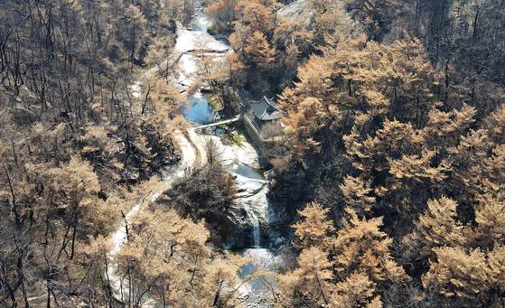 안동 만휴정. 산불이 만휴정 주변 산과 계곡을 통째로 덮었는데도 기적처럼 살아남았다.