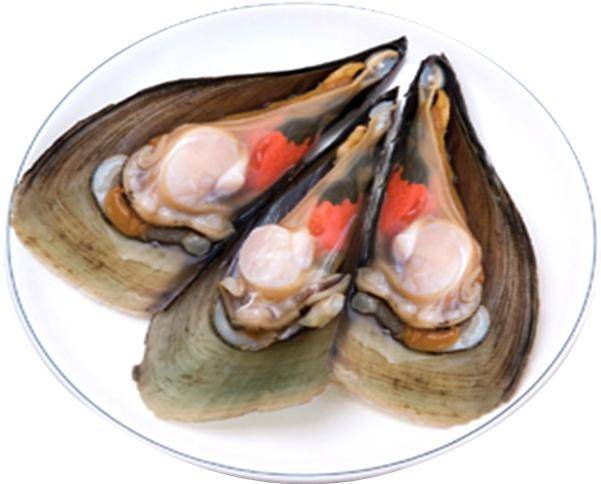 키조개 / 사진 = 해양수산부