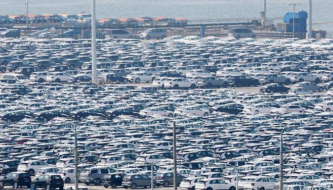 경기 평택시 포승읍 평택항 자동차전용부두에 수출용 차량들이 세워져 있다. [사진 출처 = 뉴스1]